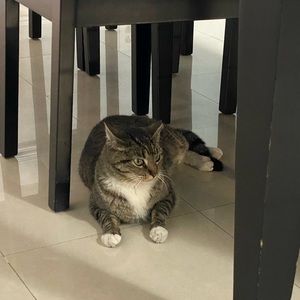 Meet your Posher, Tracy